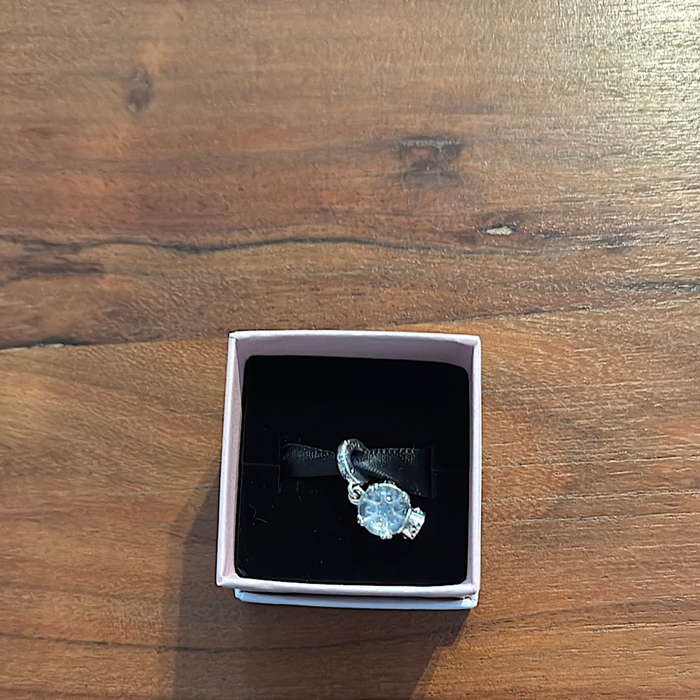 Pandora Snow Globe Dangle Charm